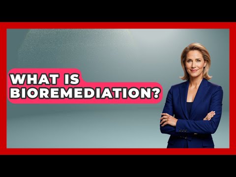 What Is Bioremediation? - The Geography Atlas
